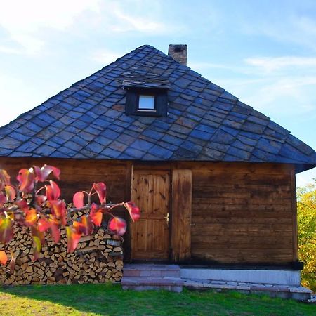 Cabin Menka Sirogojno المظهر الخارجي الصورة